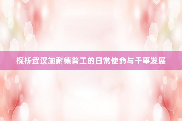 探析武汉施耐德普工的日常使命与干事发展